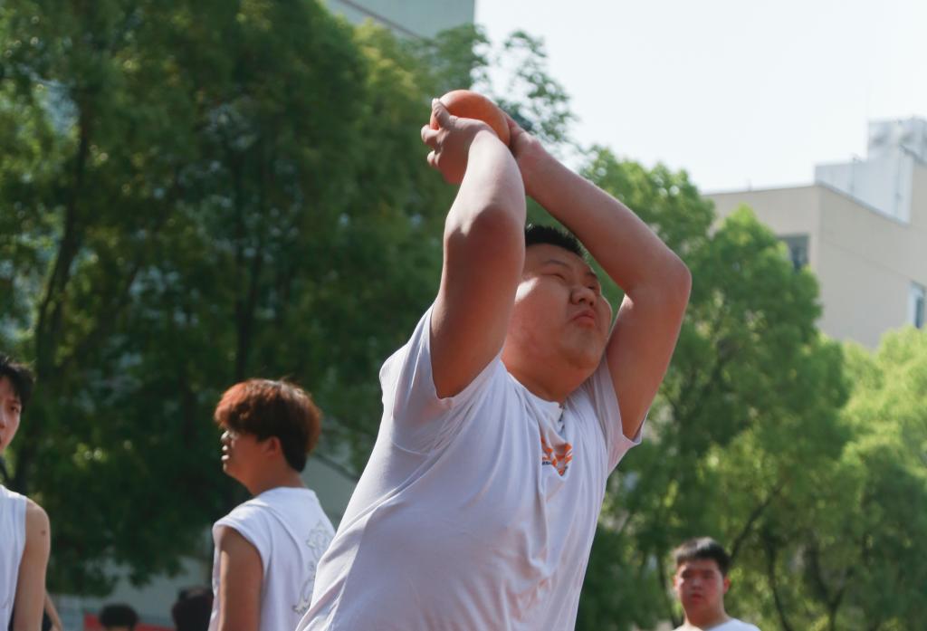 十大网投平台排名