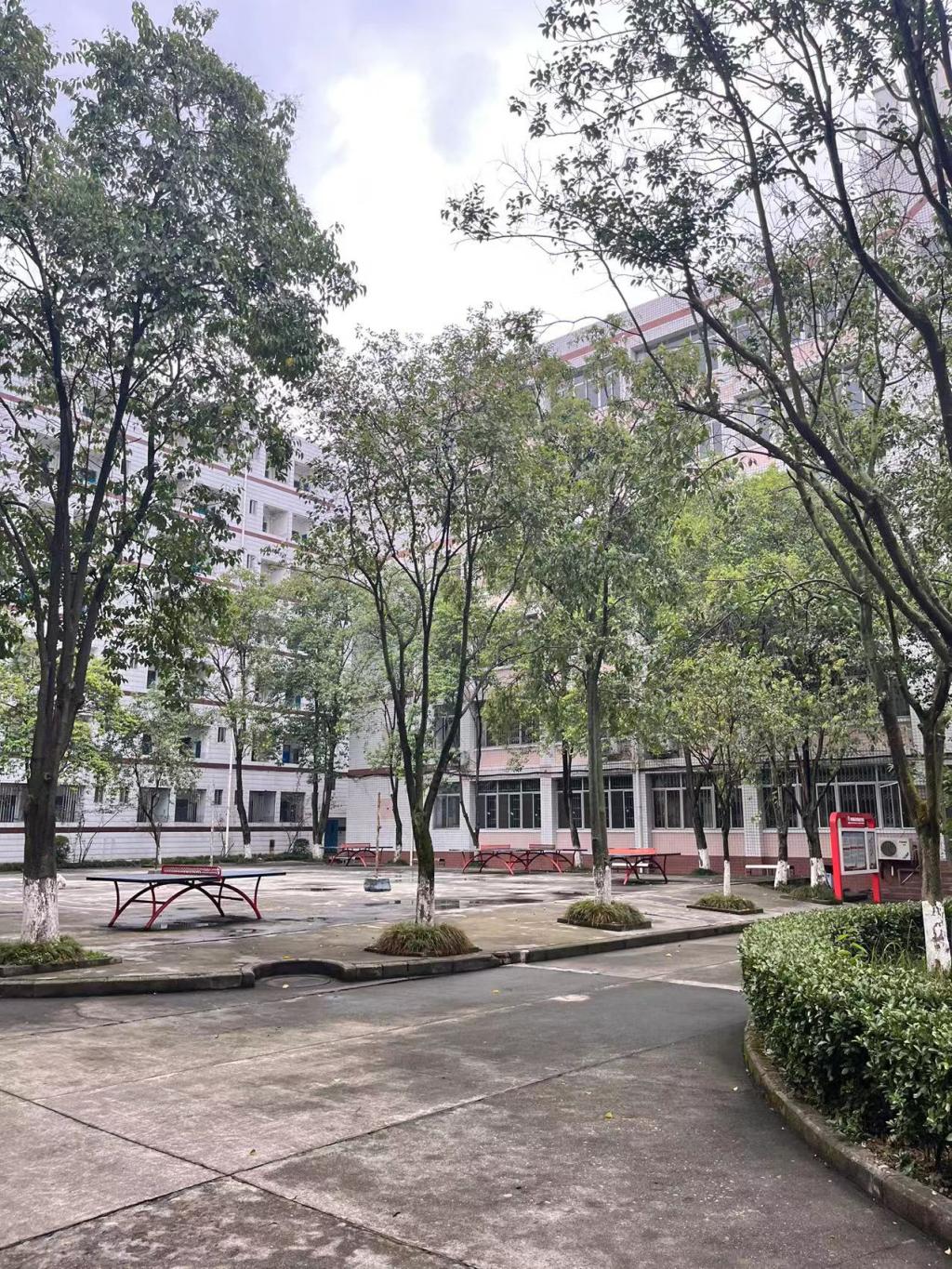 十大网投平台排名