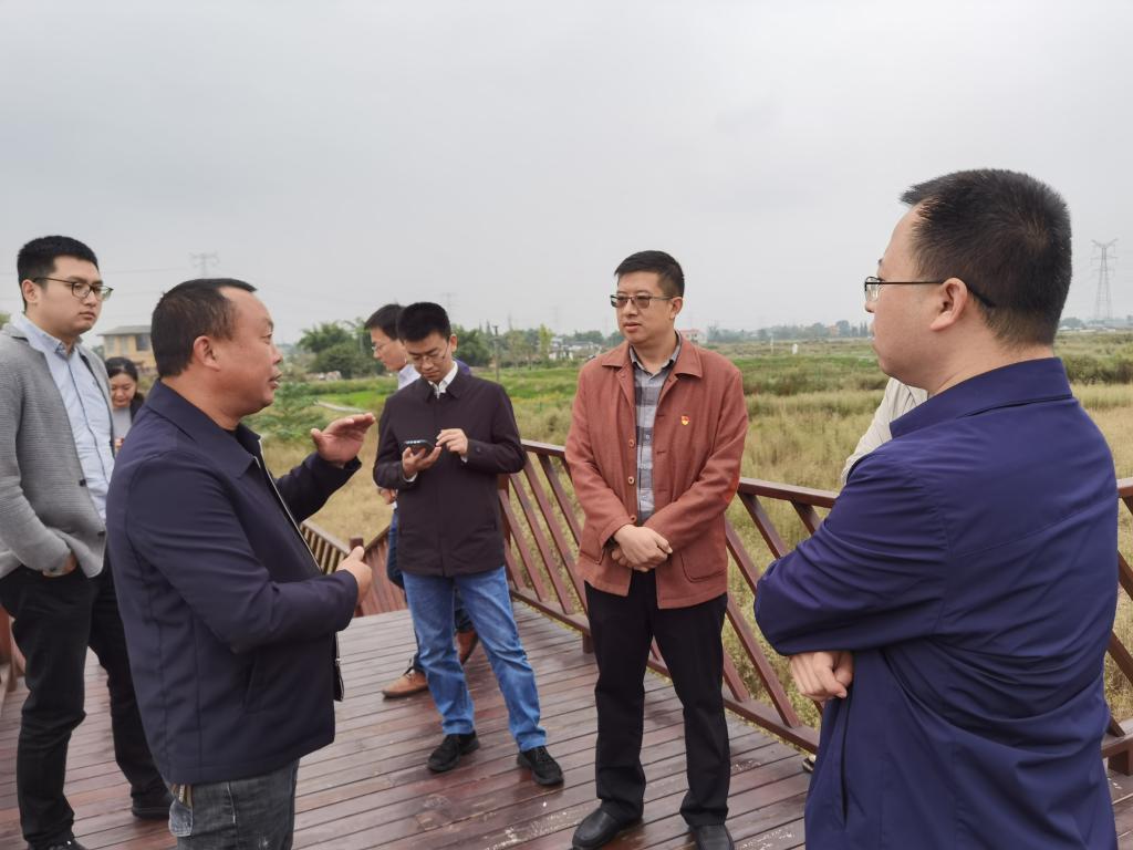 十大网投平台排名