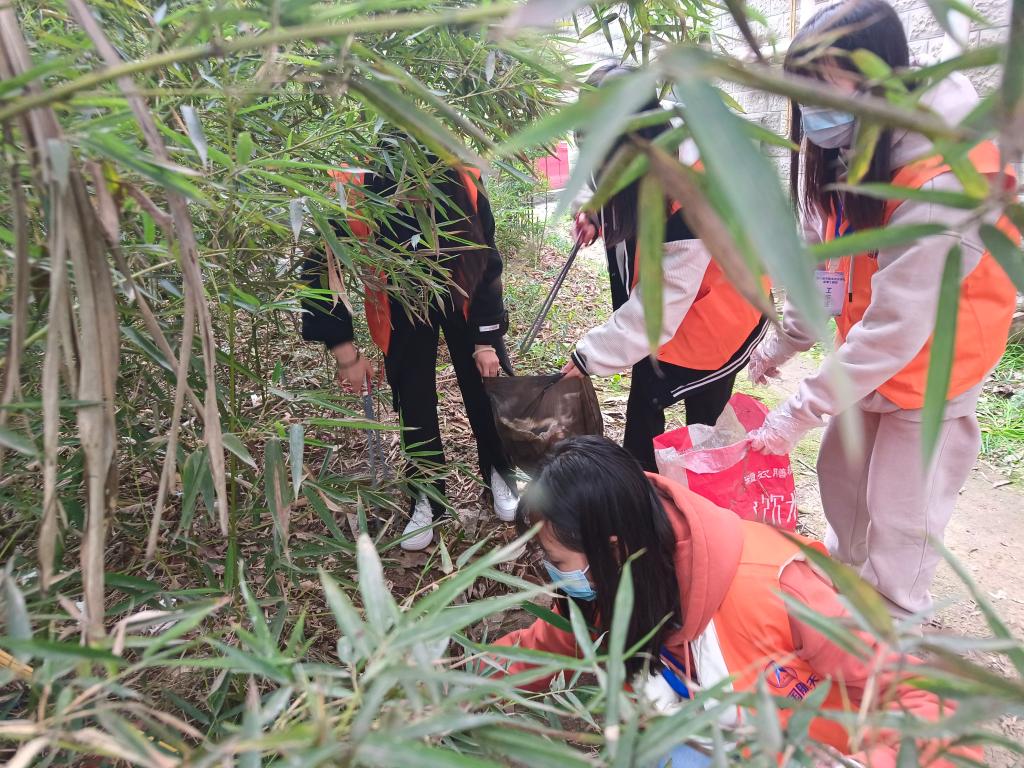 十大网投平台排名