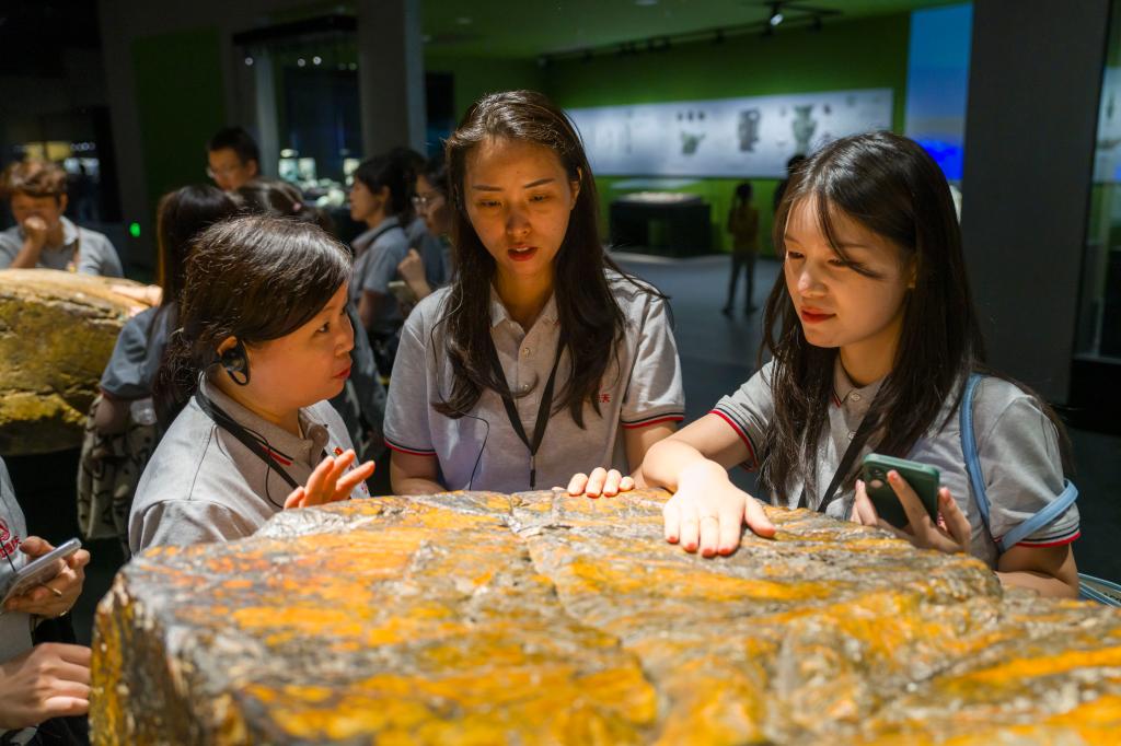 十大网投平台排名