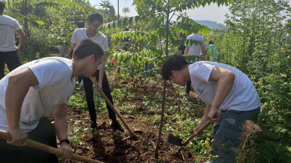 十大网投平台排名