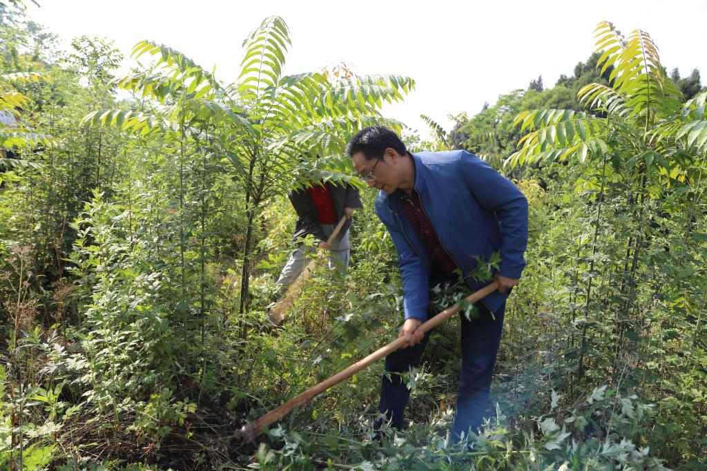 十大网投平台排名