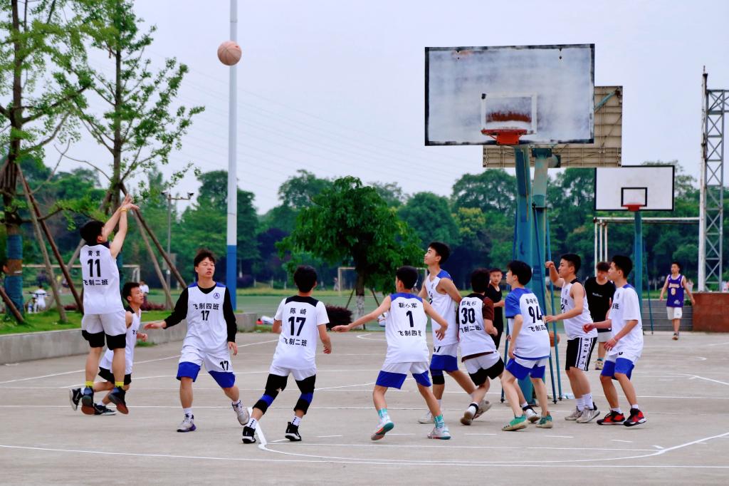 十大网投平台排名