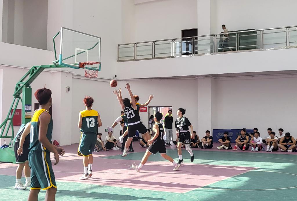 十大网投平台排名