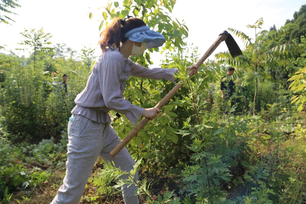 十大网投平台排名