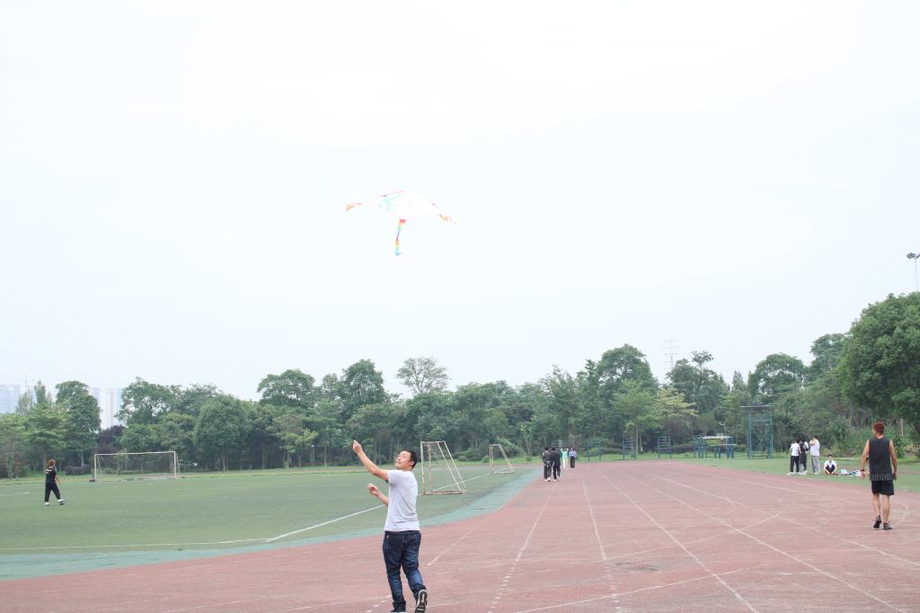 十大网投平台排名