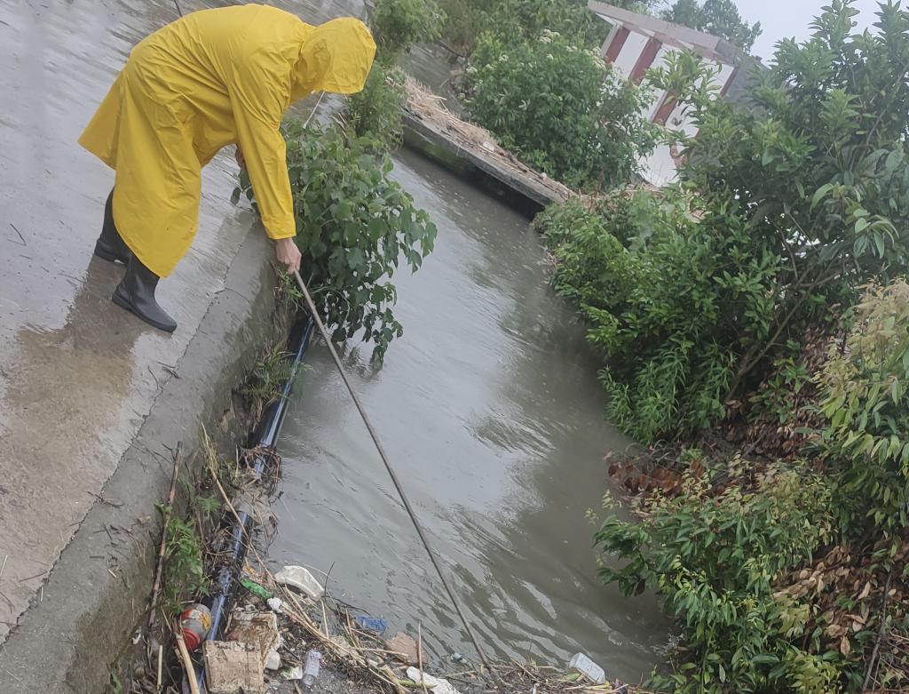 十大网投平台排名