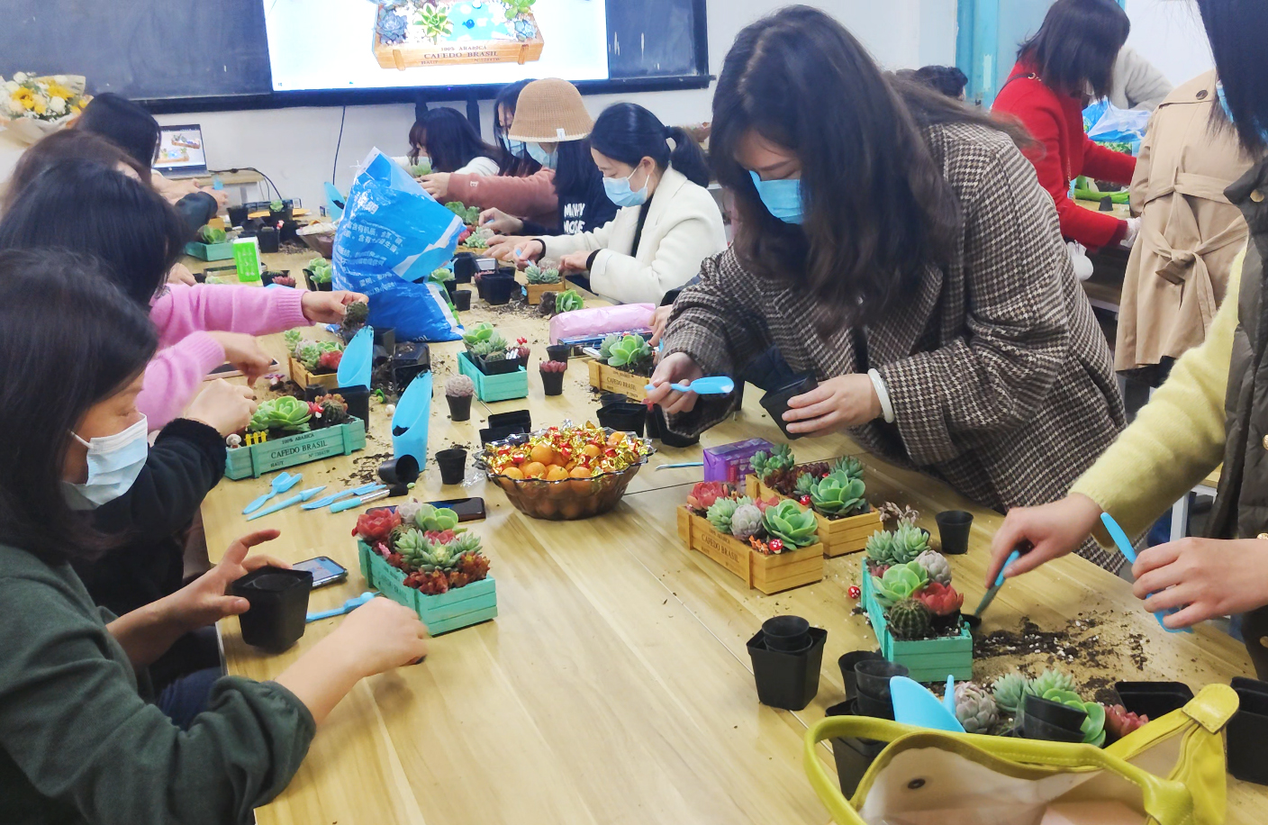 十大网投平台排名