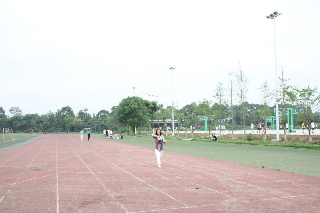 十大网投平台排名