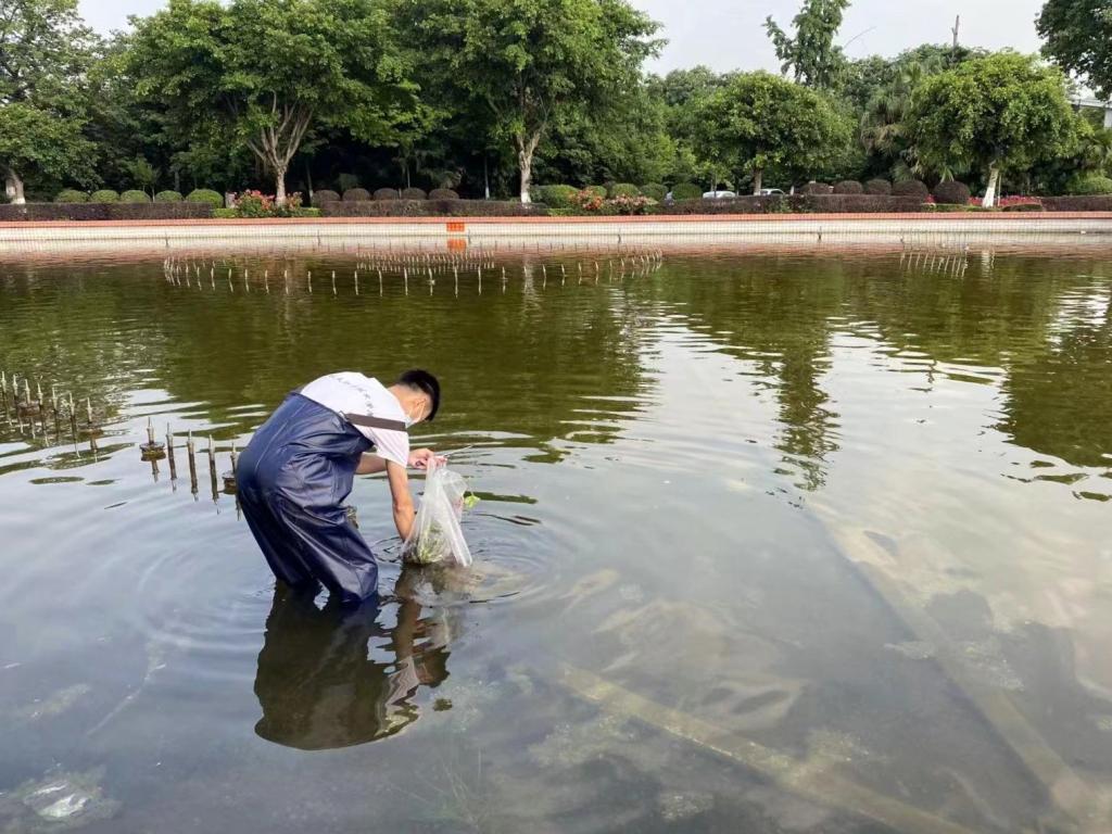 十大网投平台排名