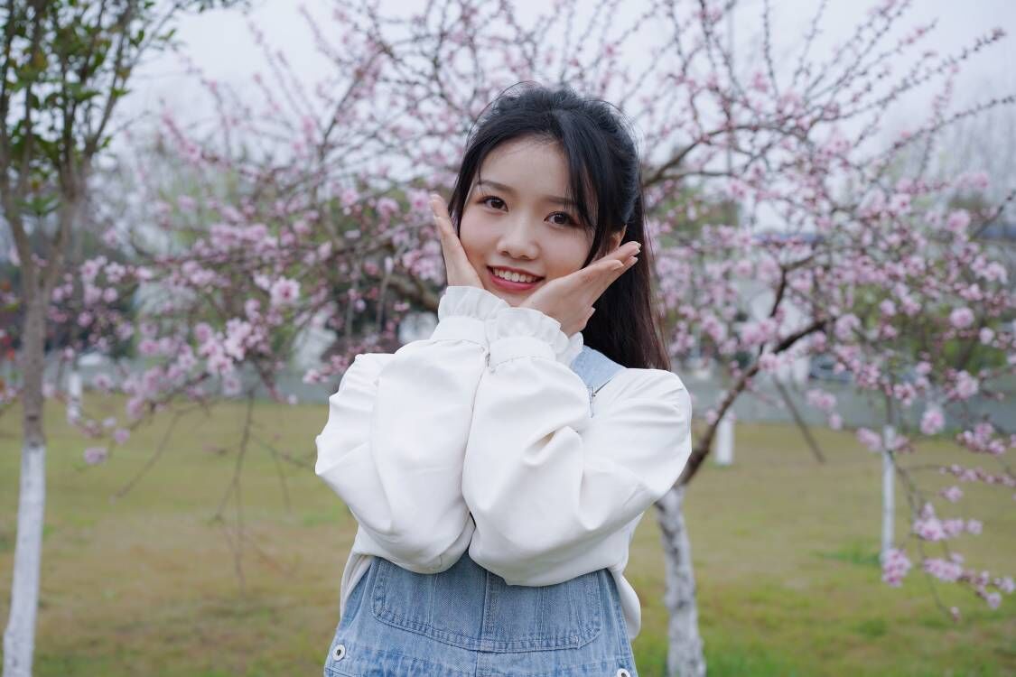 十大网投平台排名