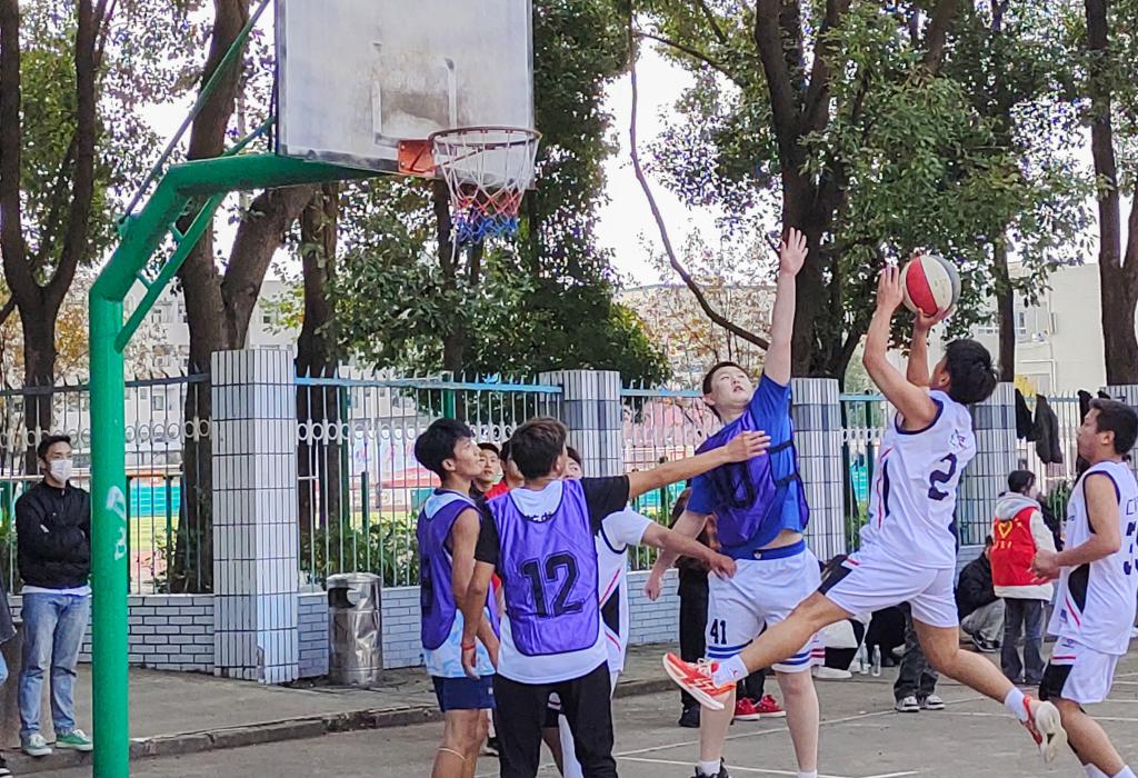 十大网投平台排名