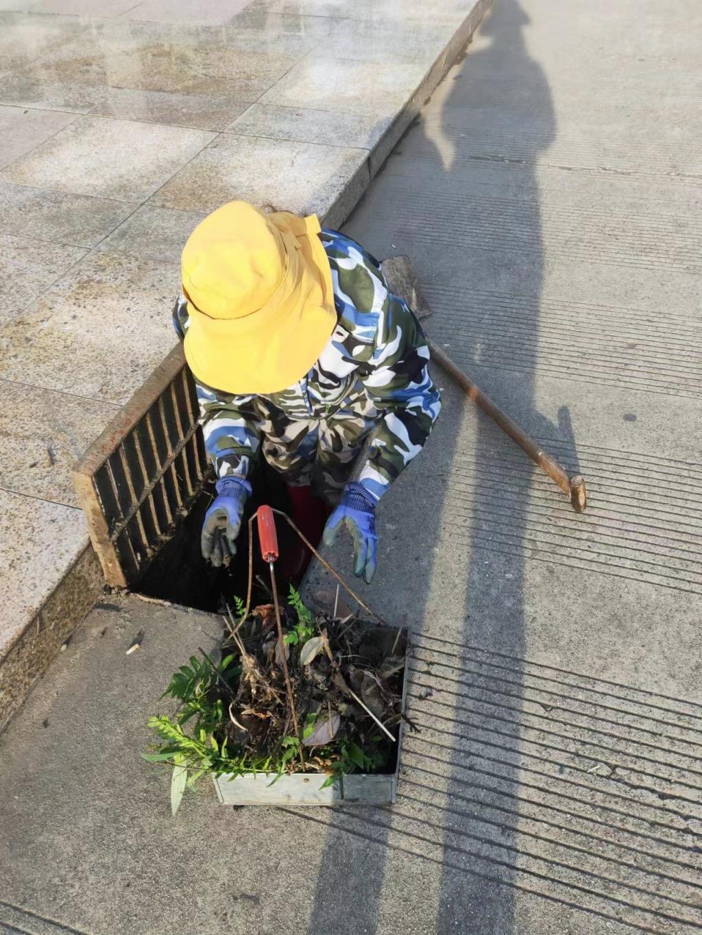 十大网投平台排名