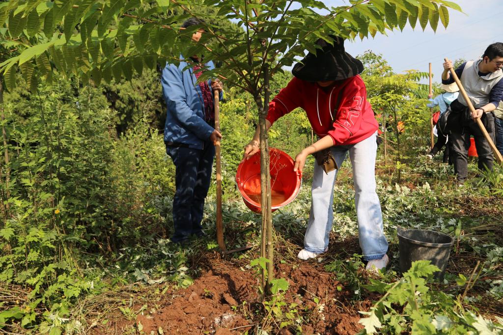十大网投平台排名