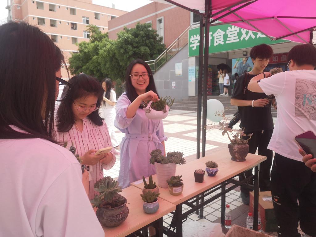 十大网投平台排名