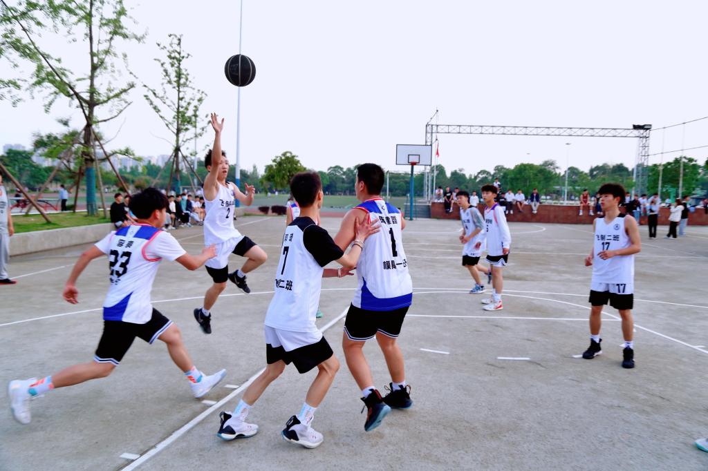 十大网投平台排名