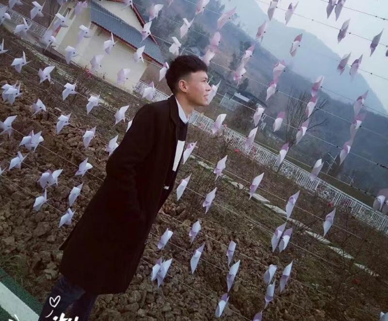 十大网投平台排名