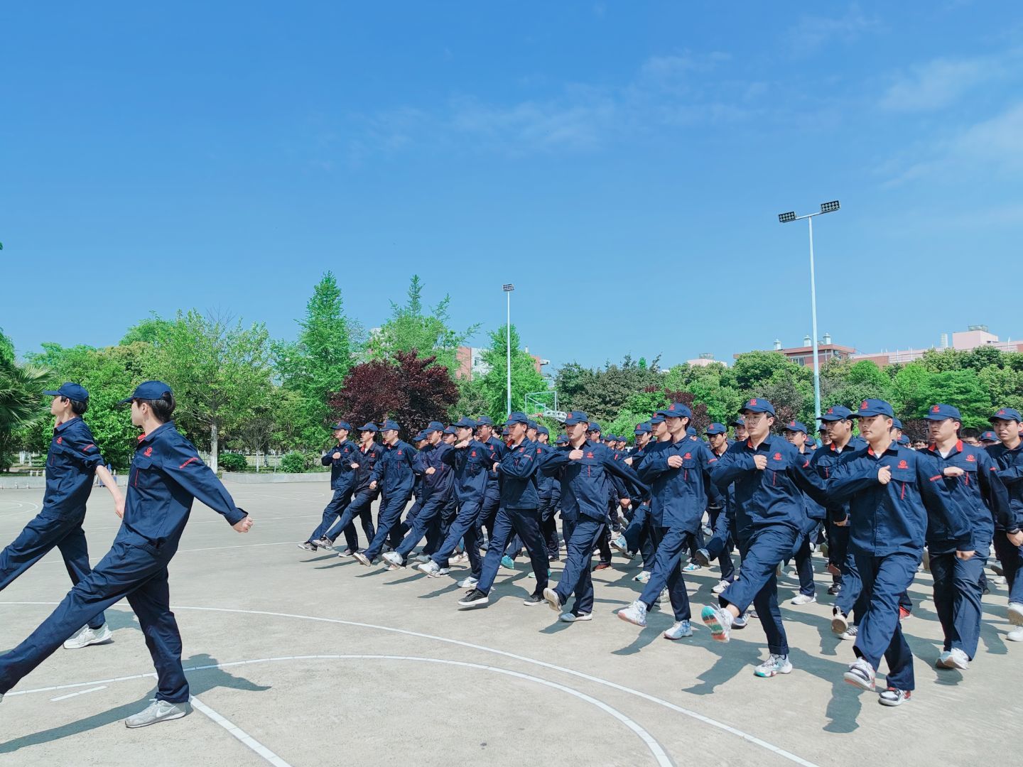 十大网投平台排名
