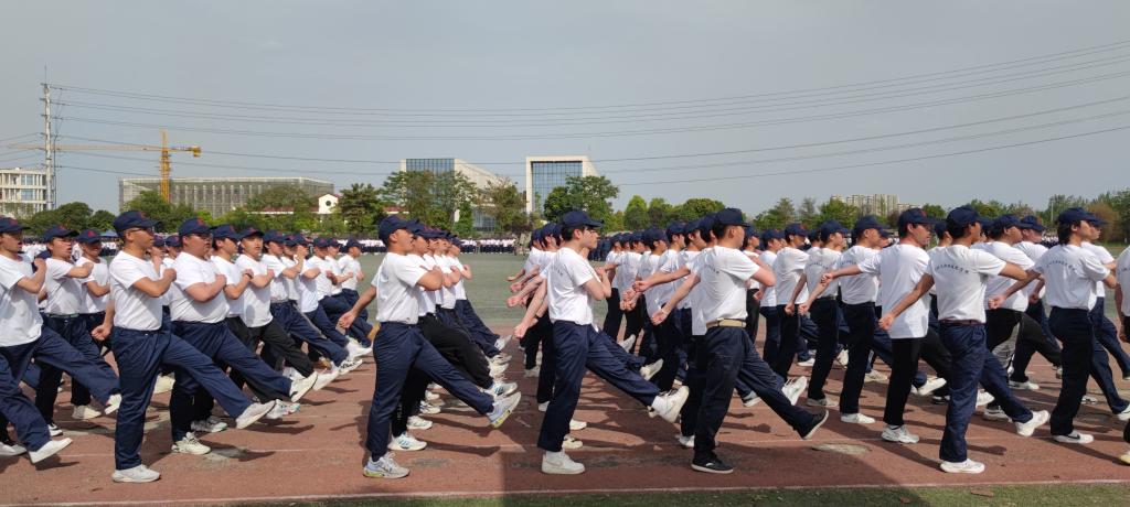 十大网投平台排名