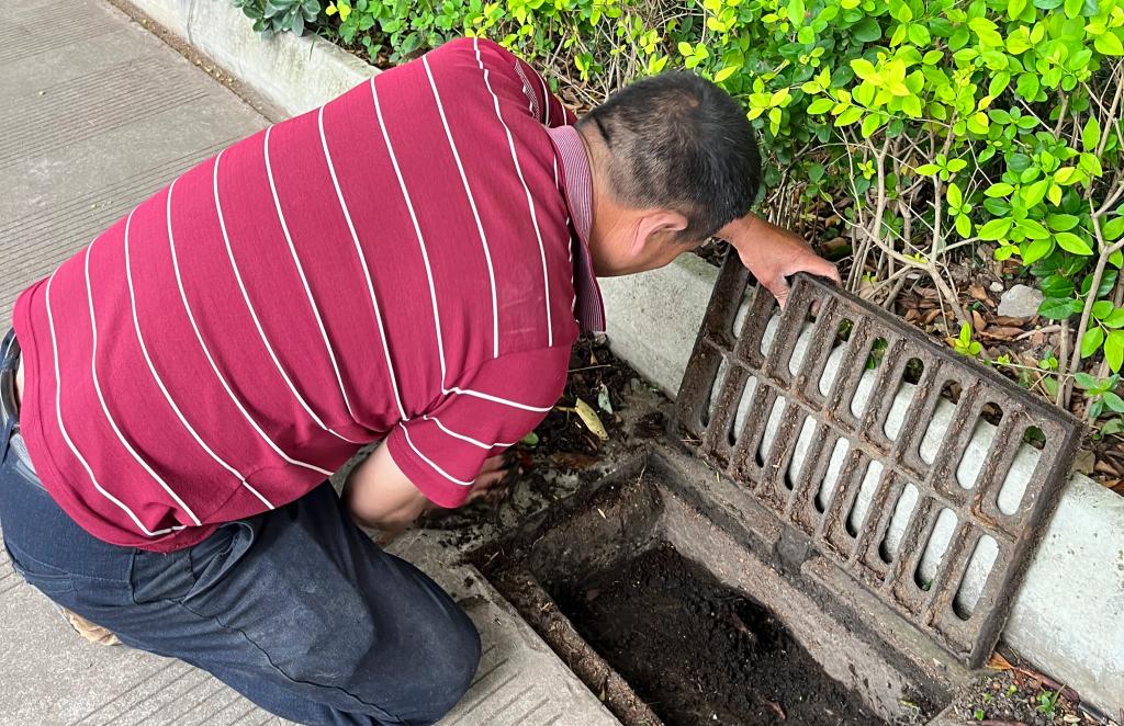 十大网投平台排名