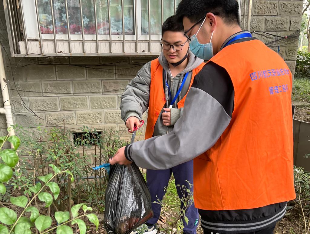 十大网投平台排名