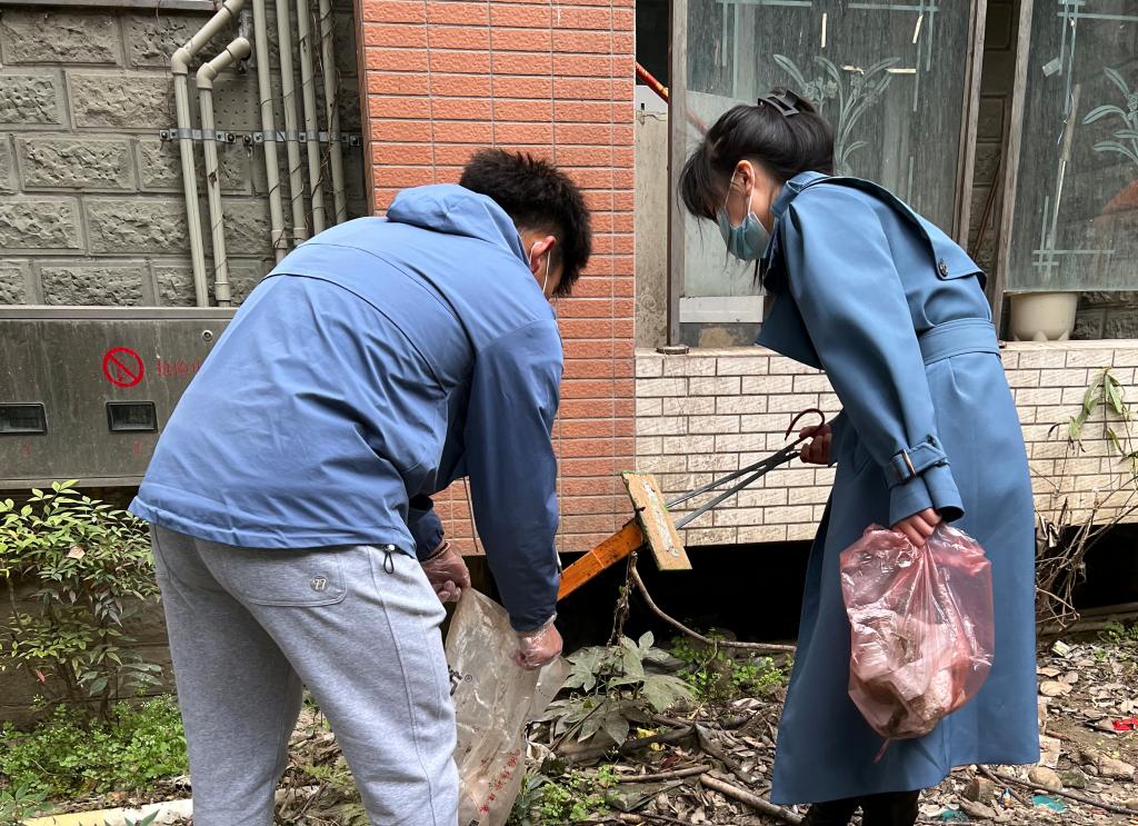 十大网投平台排名