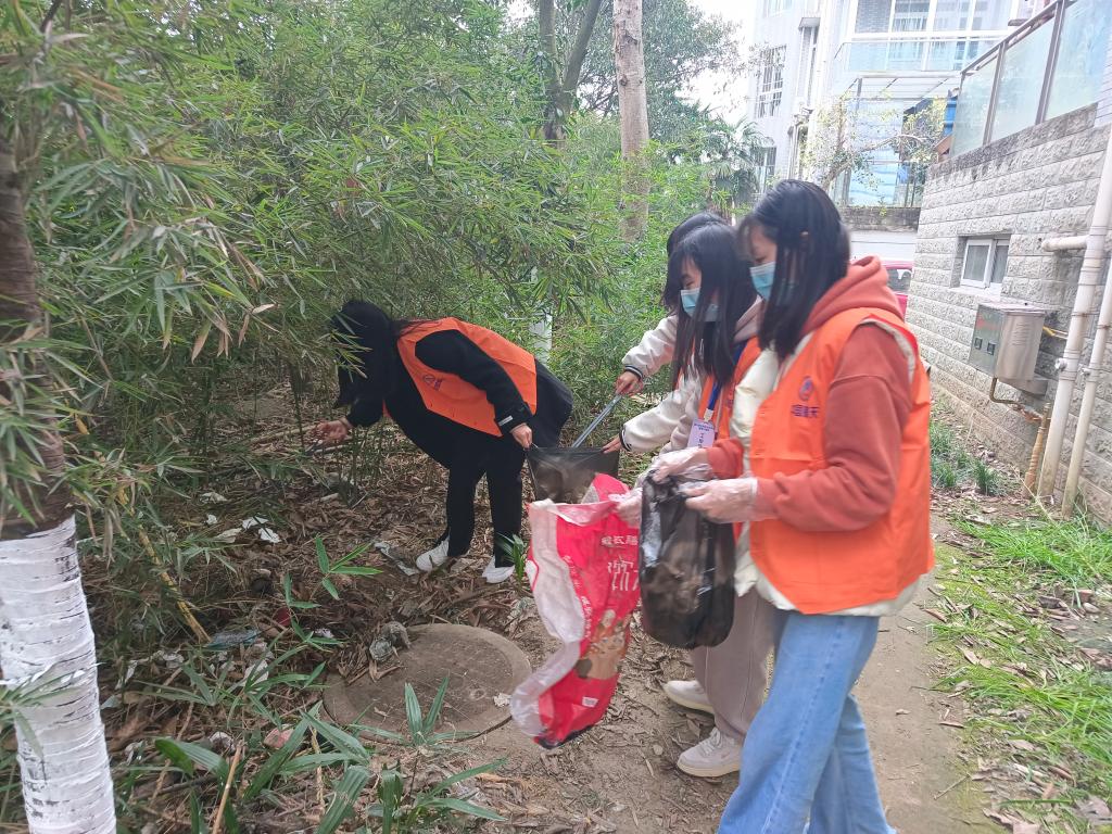 十大网投平台排名