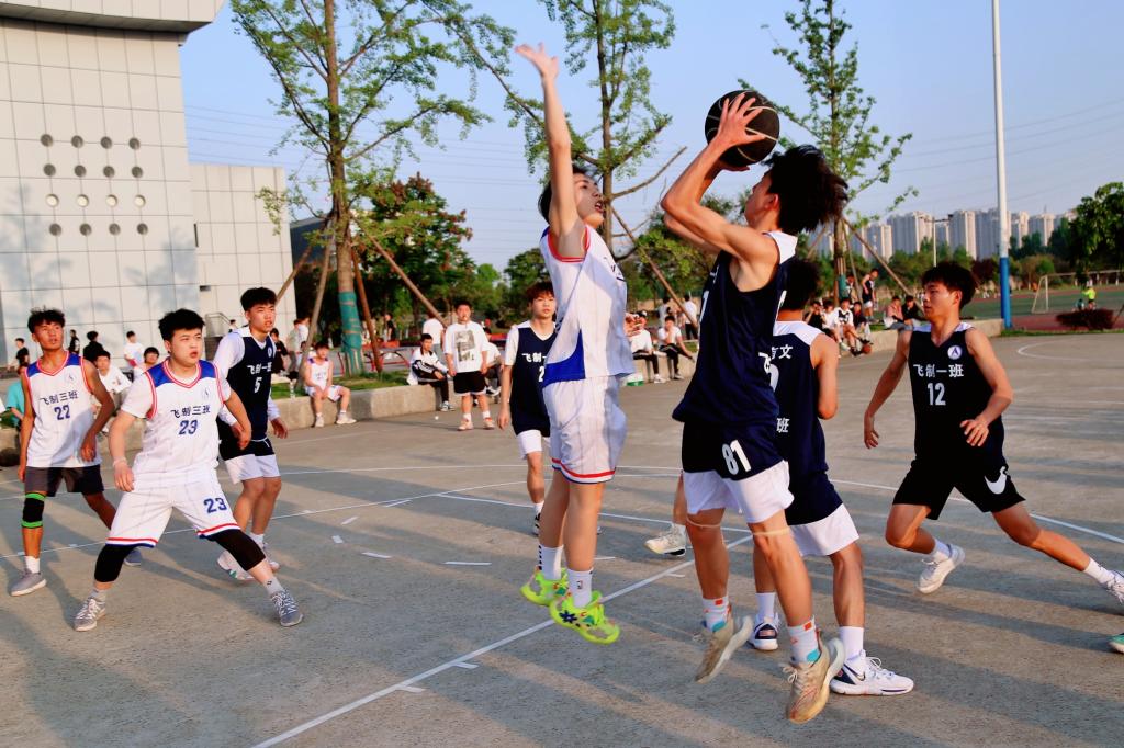 十大网投平台排名